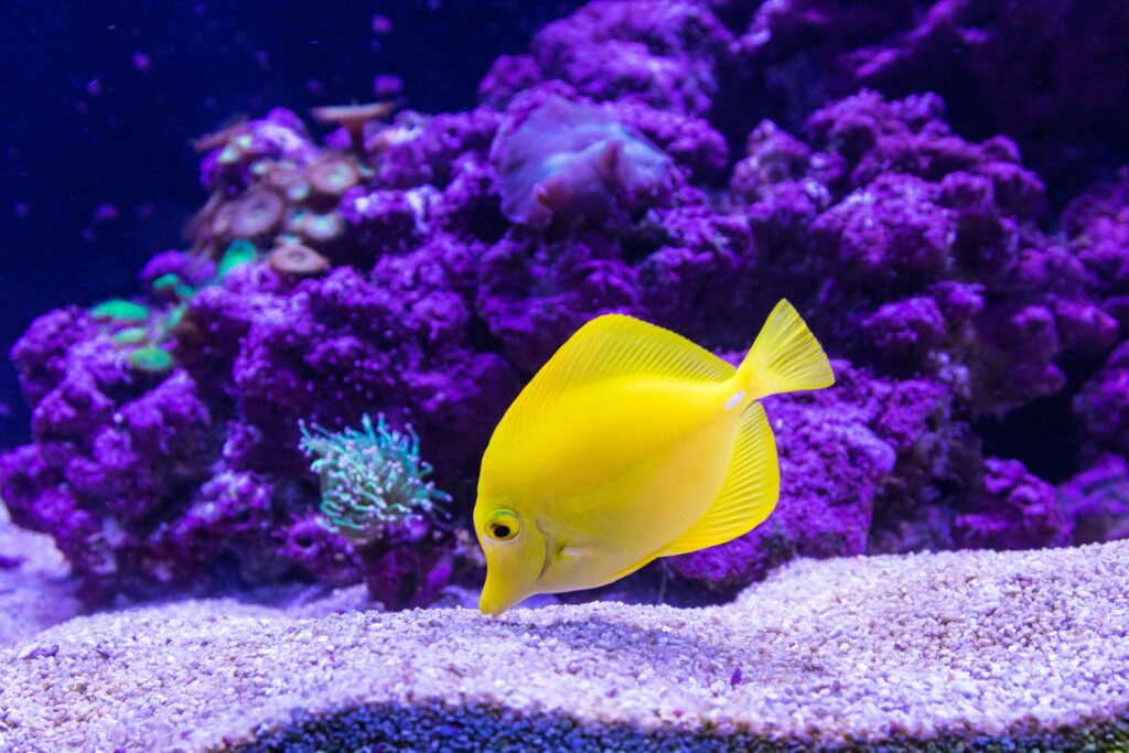 Hello World Featured Image