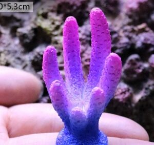 Fish Tank Decoration, Sea Water Tank, Starfish Resin Ornaments