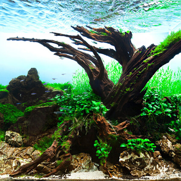 Fish tank landscaping sink wood water - Image 5