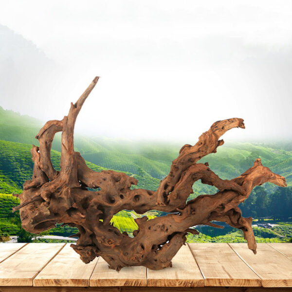 Fish tank landscaping sink wood water - Image 4