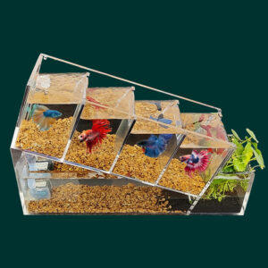 Acrylic Desktop Small Fish Tank Multi-grid Isolation Area