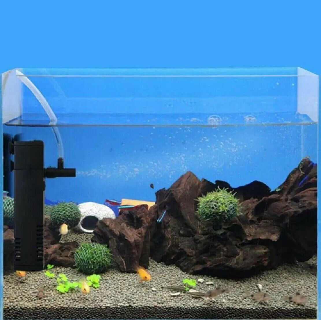 0c22be4f-2258-42ec-836b-6da87228a007-1jpg - Aquassi Ltd | Award-winning Aquarium Design & Aquascaping Small Home Aquarium with Orange Fish Swimming Among Rocks and Decorations.