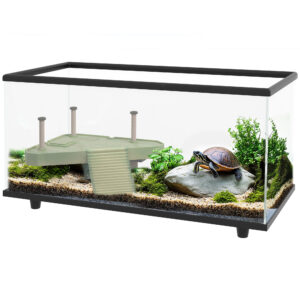 Glass Aquarium with Black Trim Housing a Turtle on a Rock Among Plants and Gravel Substrate for a Terrarium Setup