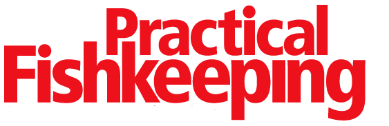 Practical Fishkeeping Logo in Bold Red Type