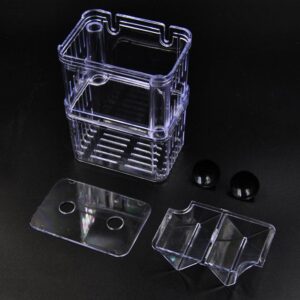 Acrylic Fish Hatchery: A Transparent Sanctuary For Juvenile Fish