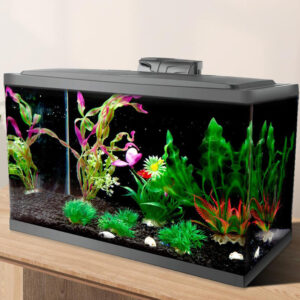 Rectangular aquarium on a wooden desk filled with colorful plastic/live plants and dark gravel, no fish visible in this view.