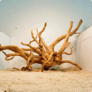 Tangled driftwood centerpiece on a sandy surface inside a display tank or terrarium.