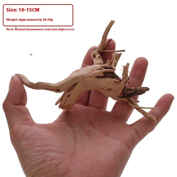 92763b31-ff37-41a7-8117-e75124367f55_trans-2jpeg - Aquassi Ltd | Award-winning Aquarium Design & Aquascaping Driftwood Fragment Held in an Open Hand with a Red Measurement Note: Size 10-15 Cm, Weight About 20–30 G; Measurement May Have Slight Errors.