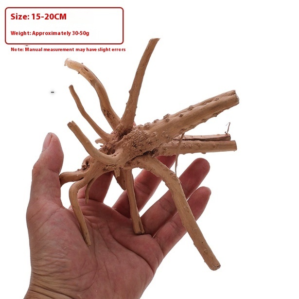 C21a11a4-035b-41d0-be5c-85e809e187c7_trans-1jpeg - Aquassi Ltd | Award-winning Aquarium Design & Aquascaping Beige, Branching Root/wood Fragment Held in a Hand, About 15–20 Cm Long; Label in the Top-left Notes Size 15–20 Cm and Weight Around 30–50 G (manual Measurement May Have Slight Errors).