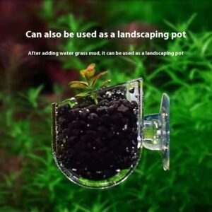 Glass hanging planter with soil and a tiny seedling, set against a green garden background.