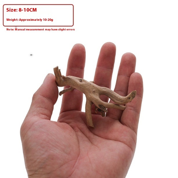 E6ebca98-7151-4e4e-b5a0-826ca32ecc1e_trans-1jpeg - Aquassi Ltd | Award-winning Aquarium Design & Aquascaping Hand Holding a Small, Irregular Wood Twig About 8–10 Cm Long.